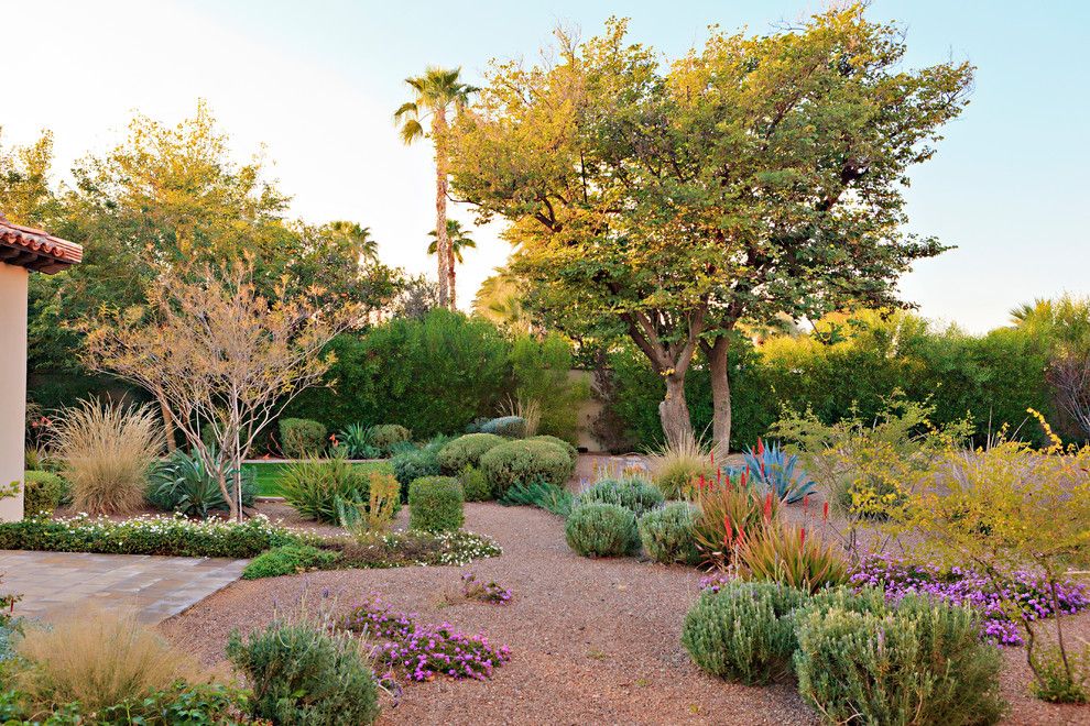 Landscapers Supply for a Mediterranean Landscape with a Trees and Camelback Royal View by Hendricks Construction