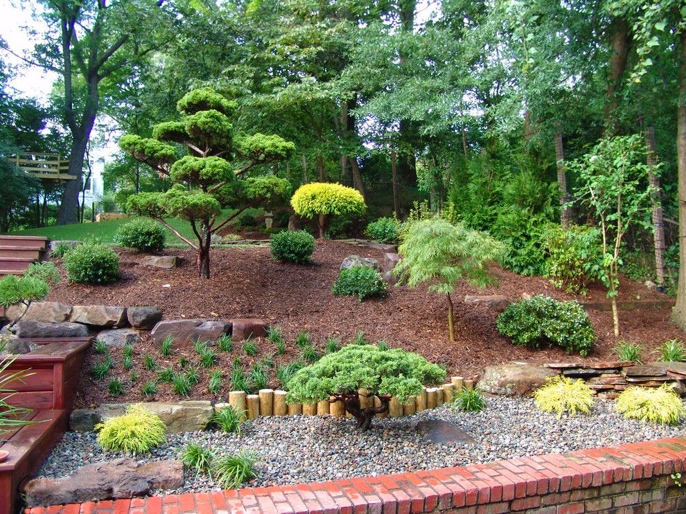 Landscaping Ideas for Small Yards for a Asian Landscape with a Trees and Landscape Design and Installation by Lee's Oriental Landscape Art