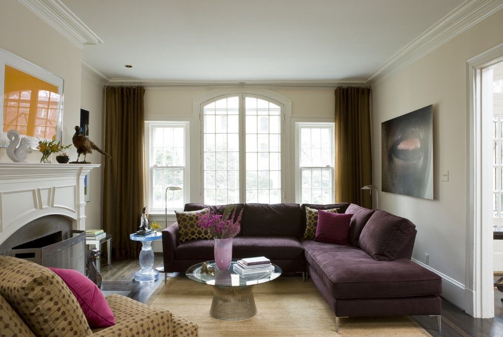 Levins Furniture for a Contemporary Family Room with a Artwork and Washington, Dc by Liz Levin Interiors