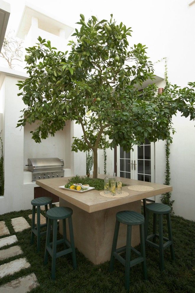 Lime Lush Boutique for a Mediterranean Patio with a Citrus Tree and Alys Beach Residence by Artisan of Seagrove