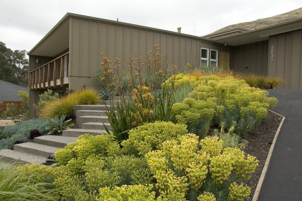 Lime Lush Boutique for a Midcentury Exterior with a Bocce and Bonifield Residence by Jeffrey Gordon Smith Landscape Architecture