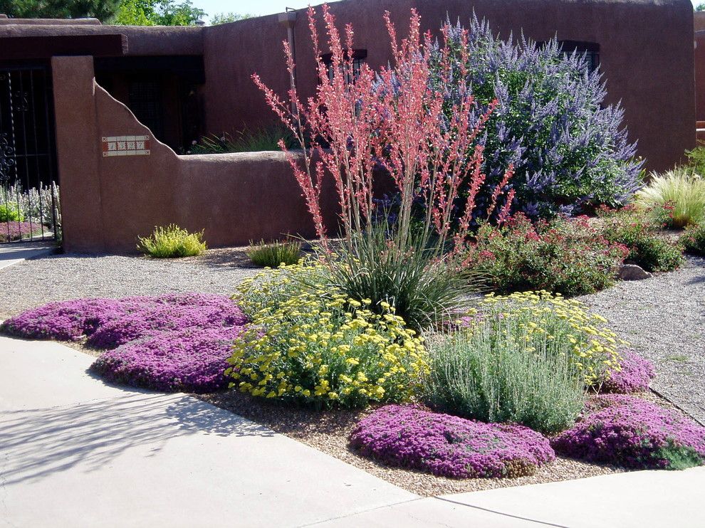 Lowes Albuquerque for a Southwestern Landscape with a Xeric Color and Waterwise Landscapes by Waterwise Landscapes Incorporated