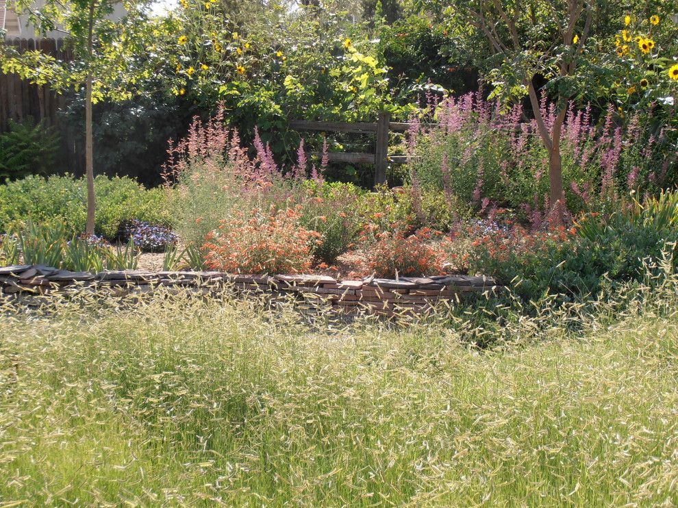 Lowes Albuquerque for a Traditional Landscape with a Zauchneria and Valley Backyard by Waterwise Landscapes Incorporated