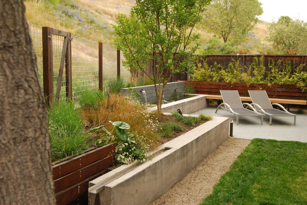 Lowes Bloomfield Ct for a Modern Landscape with a Grasses and Garnet Residence by Envision Landscape Studio