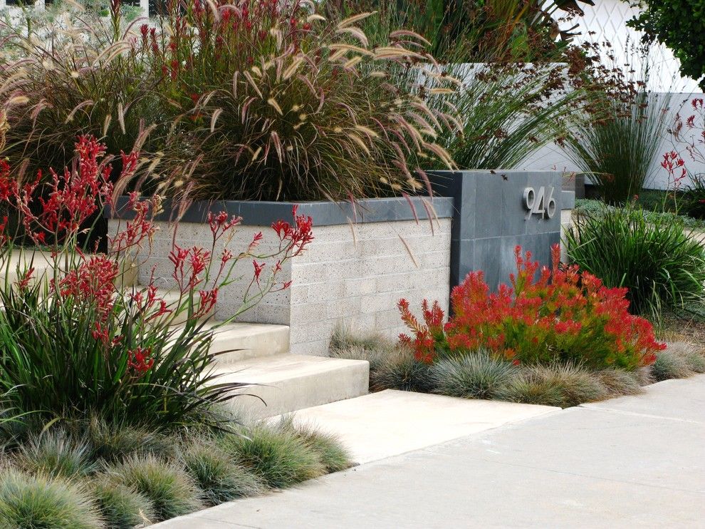 Lowes Carlsbad for a Contemporary Landscape with a Front Garden and Debora Carl Landscape Design by Debora Carl Landscape Design