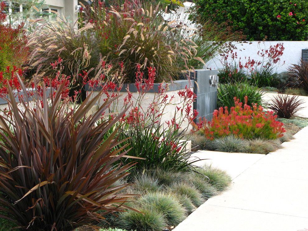 Lowes Carlsbad for a Contemporary Landscape with a Slate and Debora Carl Landscape Design by Debora Carl Landscape Design