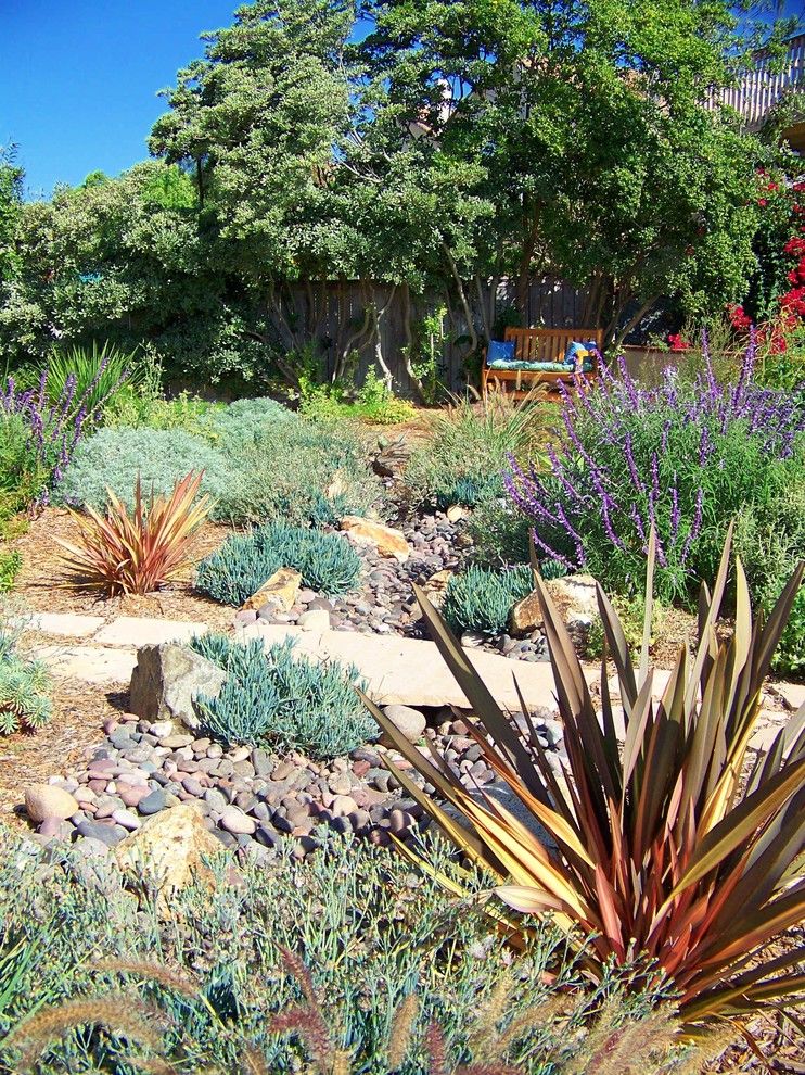 Lowes Carlsbad for a Mediterranean Landscape with a Path and Rancho Pennasquitos by Letz Design Landscape