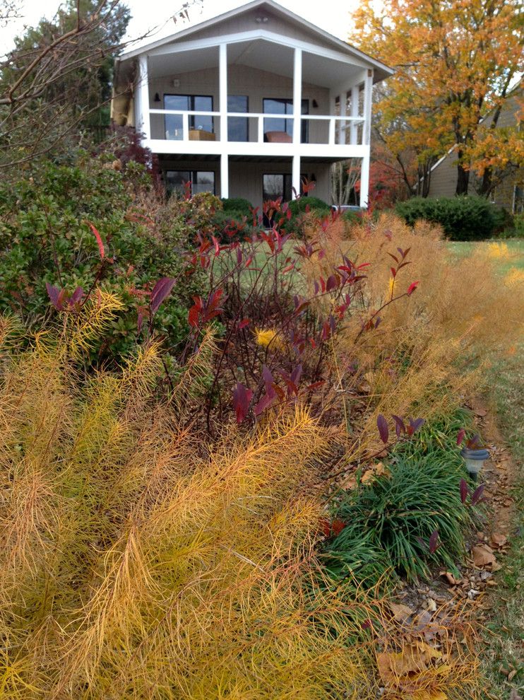 Lowes Charlottesville for a Contemporary Landscape with a Virginia and Lake Near Fredericksburg, Va:  Plant&sustain for Clean Water by Gentle Gardener Green Design