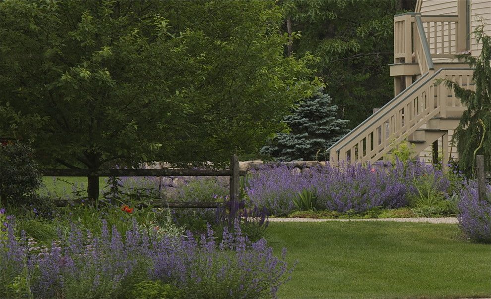 Lowes Chino Hills for a Contemporary Landscape with a Contemporary and Nepeta by Brian Maloney Design Associates