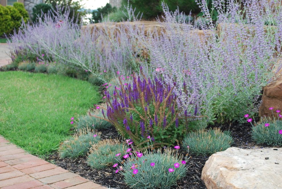 Lowes Hot Springs Ar for a Eclectic Landscape with a Dianthus and Bsr Project Revisited 8 Months Later. by Sifford Garden Design by Jay Sifford Garden Design