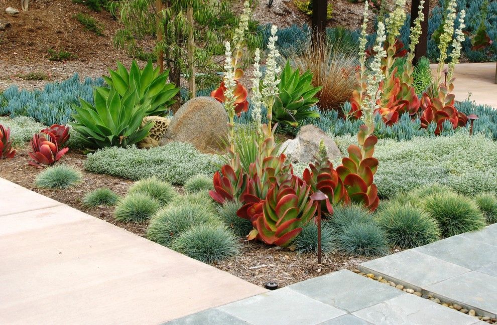 Lowes Ocala Fl for a Contemporary Landscape with a Beach Pebbles and Debora Carl Landscape Design by Debora Carl Landscape Design