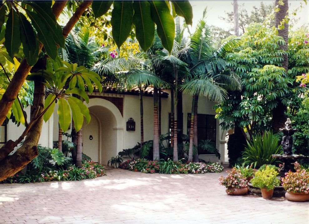 Lowes Palm Desert for a Mediterranean Exterior with a Palm Tree and Project Photo by Taylordevelopment