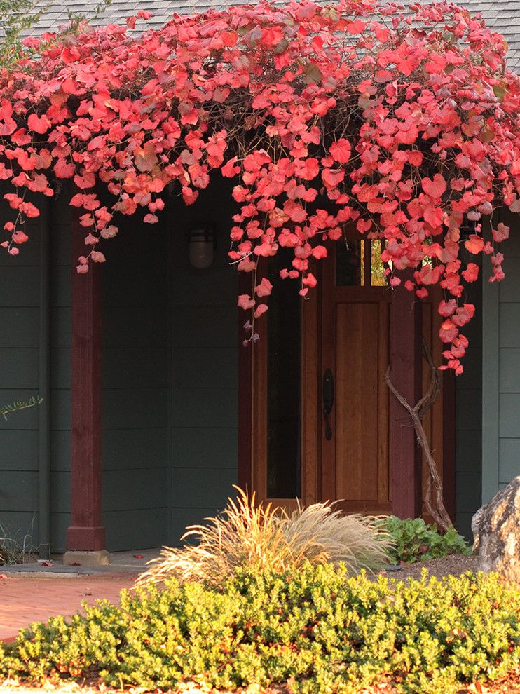 Lowes Sioux Falls for a Contemporary Entry with a Red Bush and Vitis 'Roger's Red' by John J. Kehoe Photography