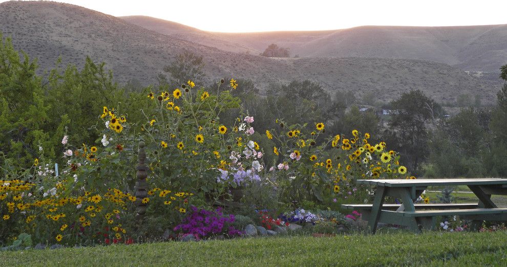 Lowes Yuma Az for a Farmhouse Landscape with a Grass and Richland, Or: Connie and Obbie by Sarah Greenman