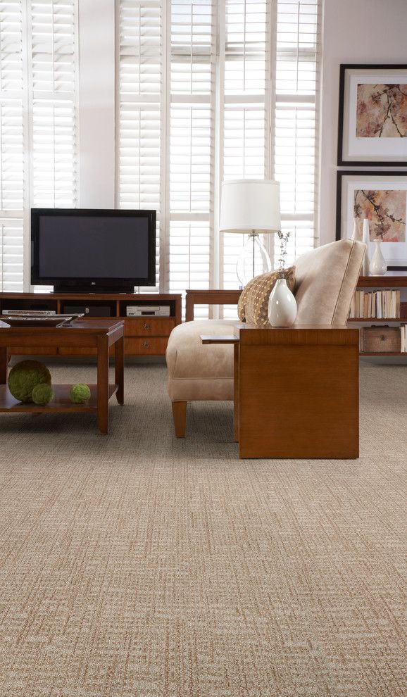 Masland Carpet for a  Living Room with a Carpet and Living Room by Masland Carpets