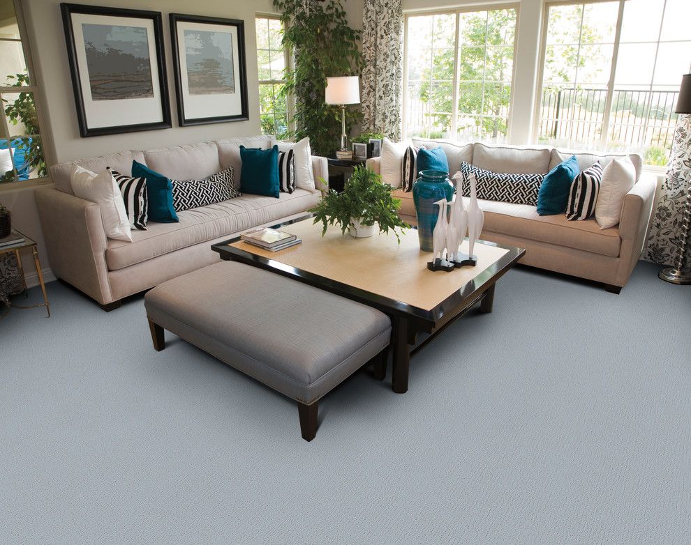 Masland Carpet for a  Living Room with a Carpet and Living Room by Masland Carpets