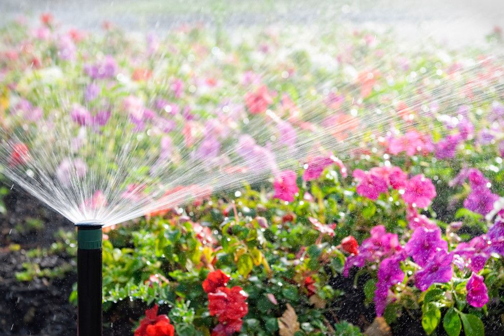 Menards Wichita Kansas for a  Spaces with a Wichita Sprinkler System Maintenance and Sprinkler System Check Up | Wichita, Kansas by Gabes Sprinkler Systems