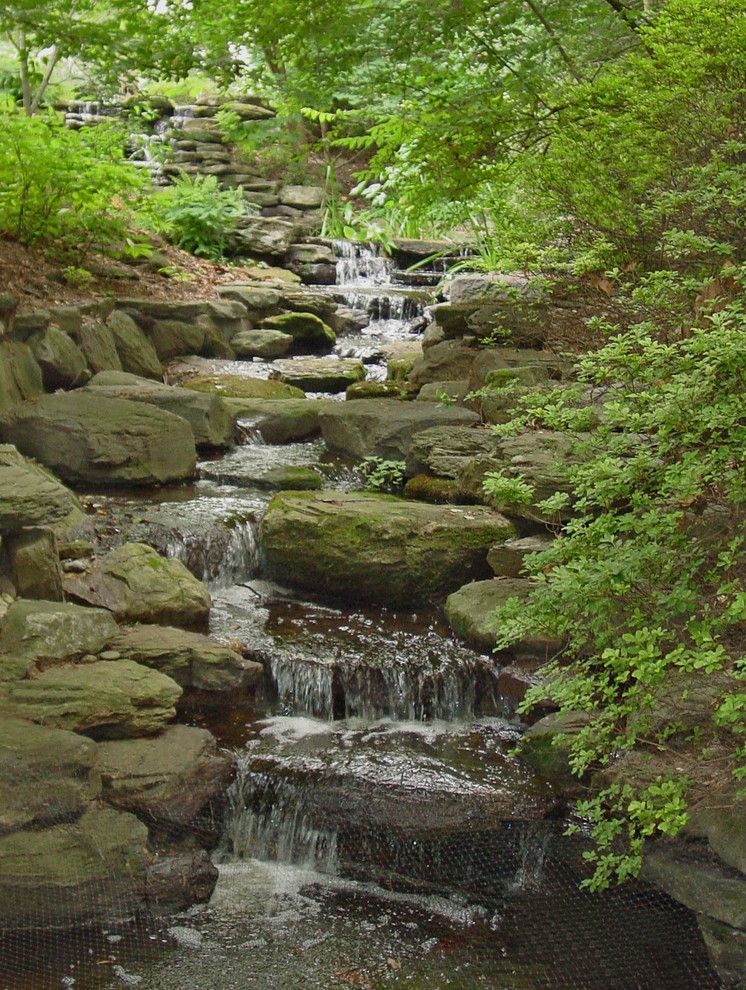 Merrifield Garden Center for a Contemporary Landscape with a Stream and Woodland Stream by Merrifield Garden Center