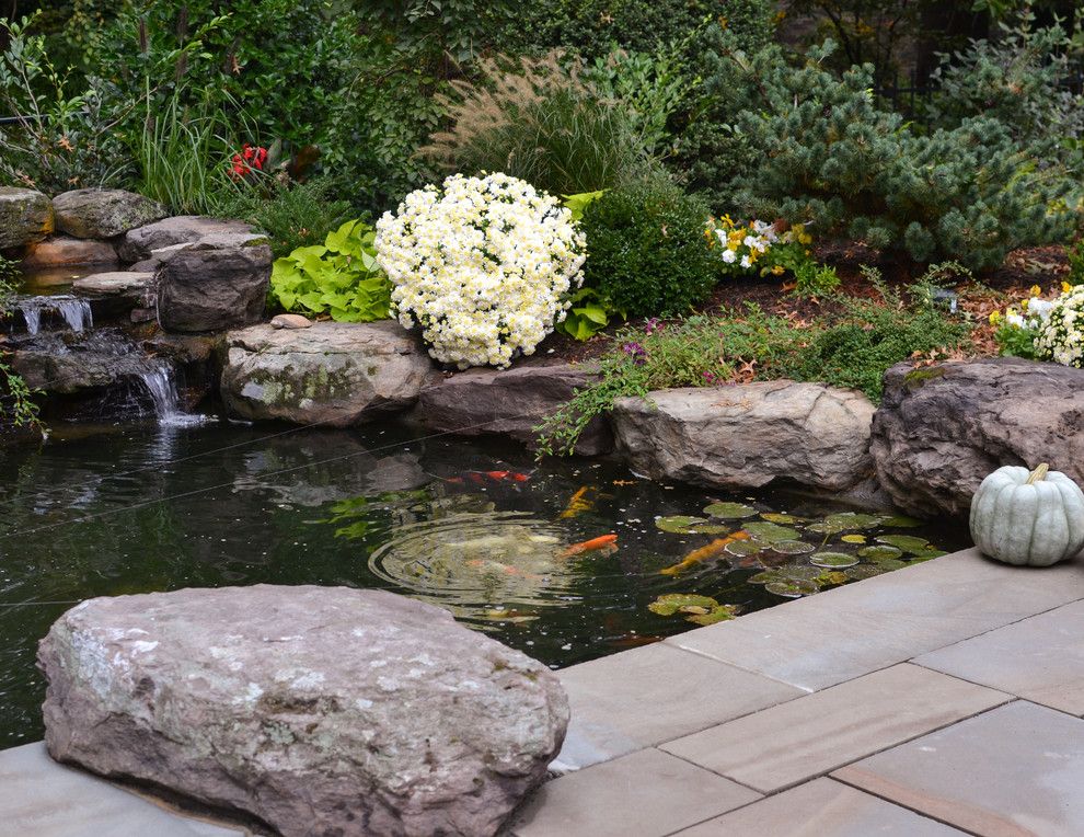 Merrifield Garden Center for a Contemporary Patio with a Flagstone and Koi Pond and Patio by Merrifield Garden Center