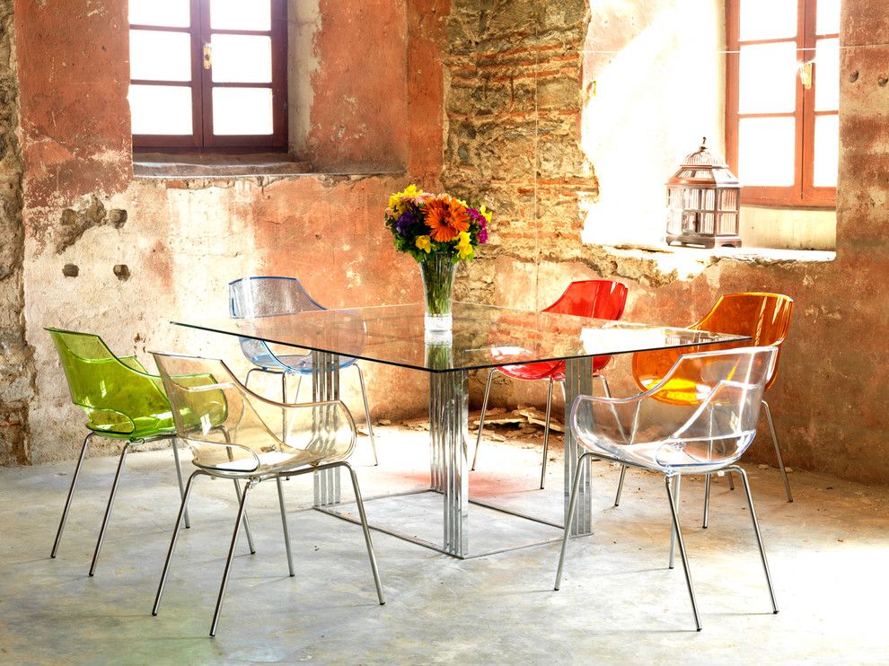 Modernlinefurniture for a Rustic Dining Room with a Birdcage and Modern Chairs by Imagine Living