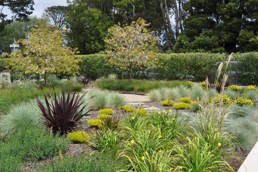 Phormium for a Contemporary Landscape with a Path and Park Residence by Huettl Landscape Architecture