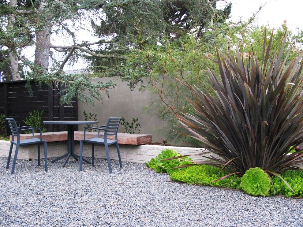 Phormium for a Modern Landscape with a Wall and Cotton Jones Retreat by Debora Carl Landscape Design