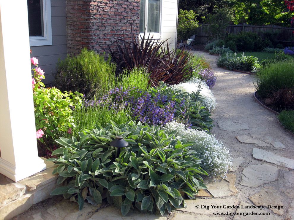 Phormium for a Traditional Landscape with a Planting for Entrance and Plant Combinations   Northern California Gardens by Dig Your Garden Landscape Design