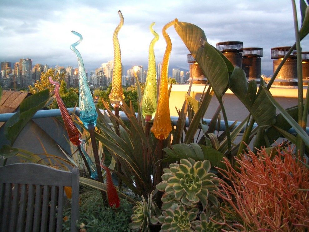 Phormium for a Tropical Landscape with a Glass and Rooftop Terrace by Glenna Partridge Garden Design