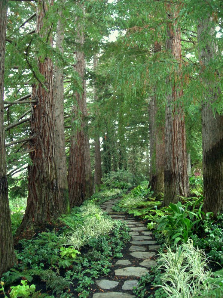 Pino Tile for a Traditional Landscape with a Walkway and Eclectic Estate by Zeterre Landscape Architecture