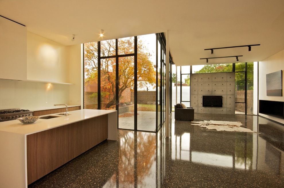 Polished Concrete Countertops for a Contemporary Kitchen with a Tall Windows and Contemporary Kitchen by Moloneyarchitects.com.au