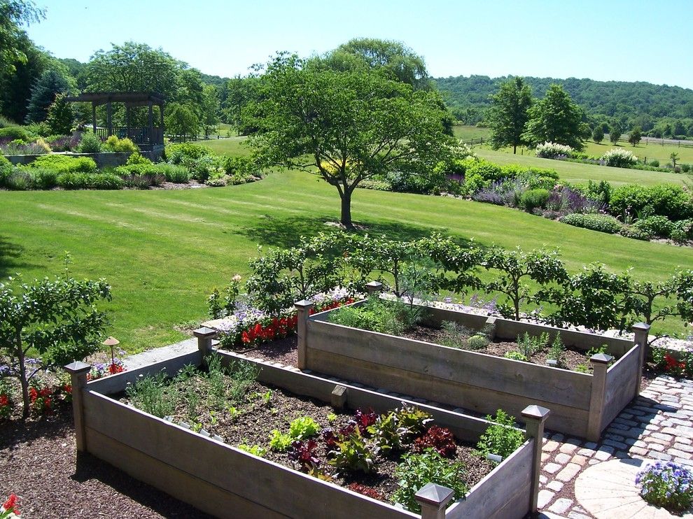 Potager Garden for a Traditional Landscape with a Lawn and Vegetable Gardens by Dear Garden Associates, Inc.