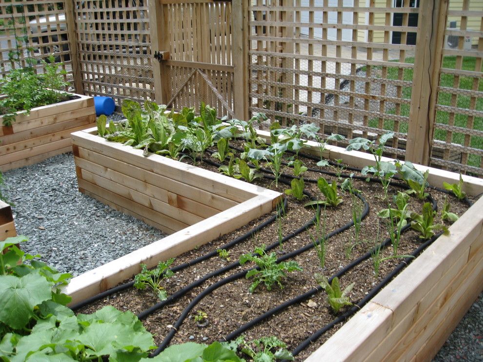 Potager Garden for a Traditional Landscape with a Raised Beds and Fenced Garden by Land Design, Inc.