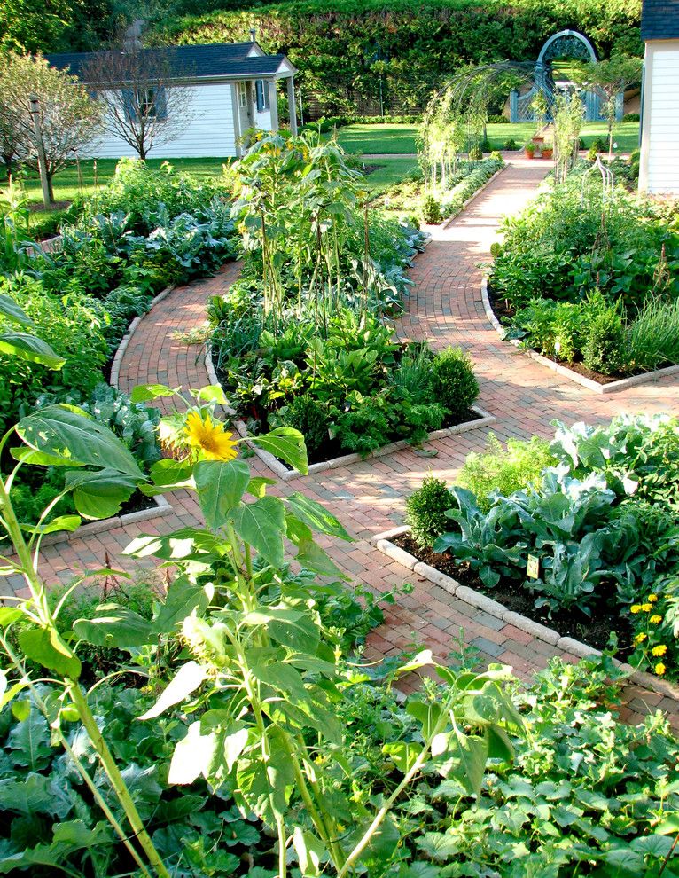 Potomac Garden Center for a Traditional Landscape with a Kitchen Garden and Potager Garden by the Brickman Group, Ltd.