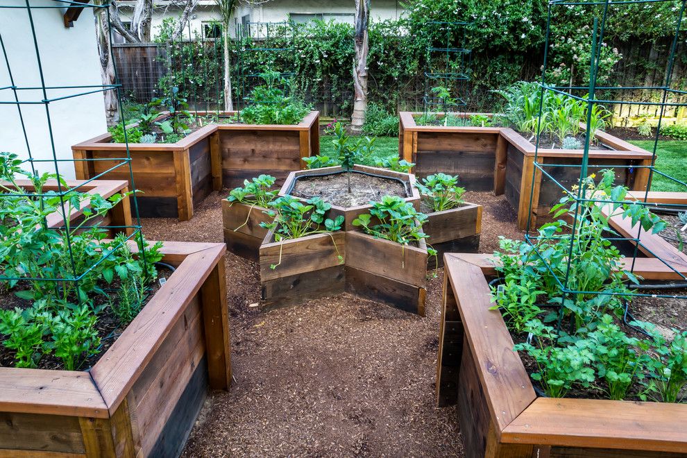 Potomac Garden Center for a Traditional Landscape with a Vegetable Garden and Raised Bed Vegetable Garden by Casa Smith Designs, Llc