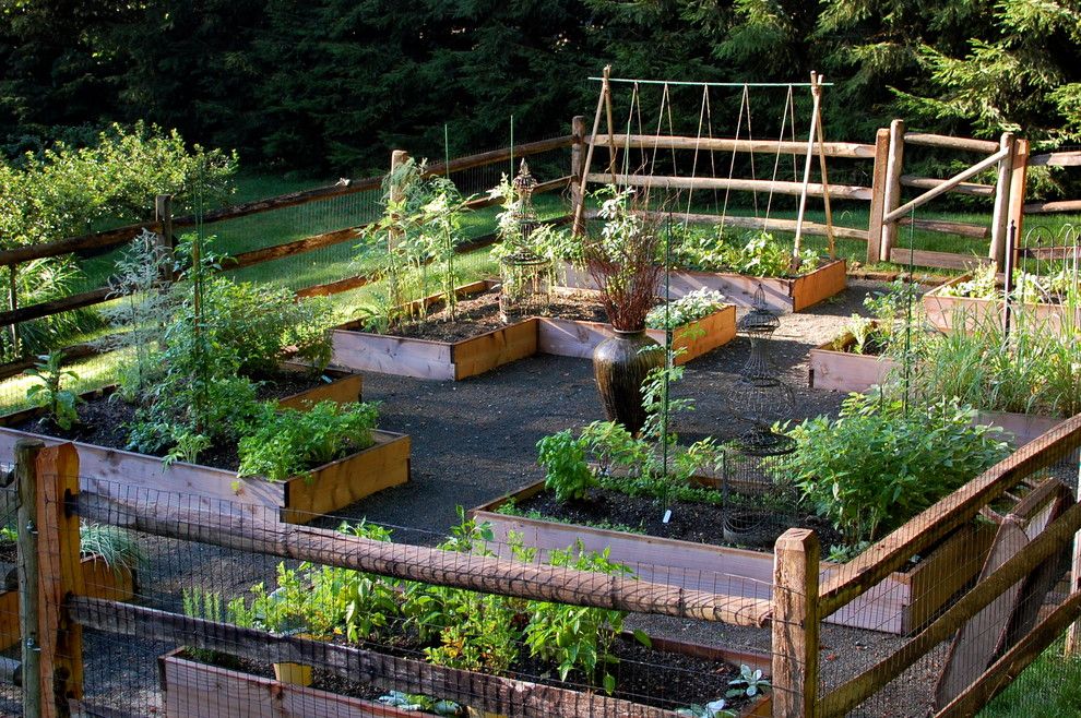 Potomac Garden Center for a Traditional Landscape with a Vegetable Garden and Raised Bed Vegetable Garden by Earth Mama Landscape Design