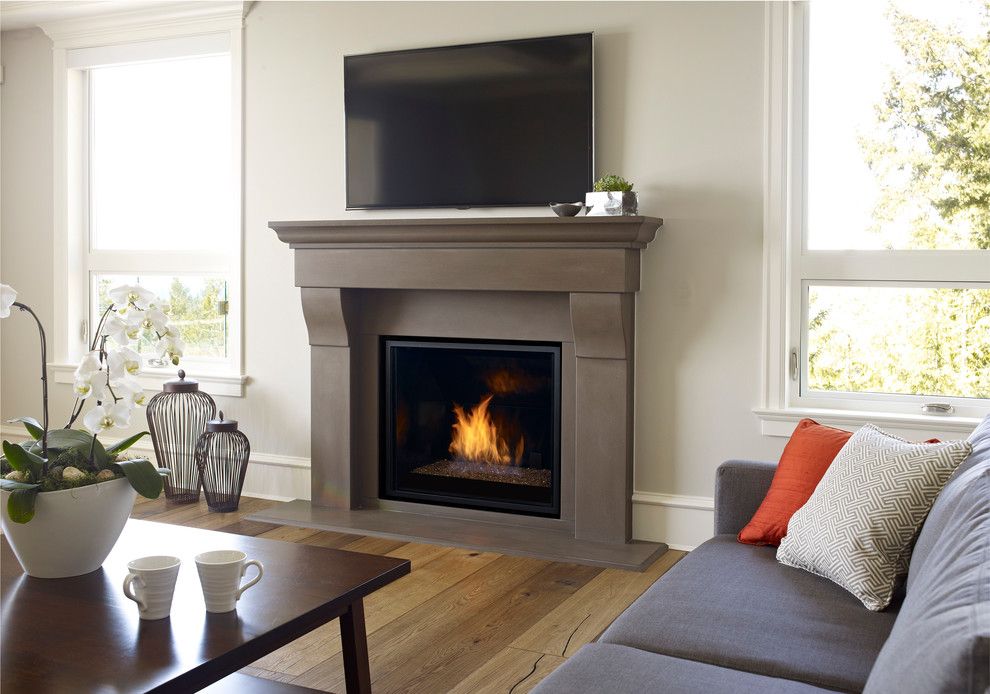 Regency Fireplace for a  Living Room with a Windows and Modern Fireplaces by Regency Fireplace Products