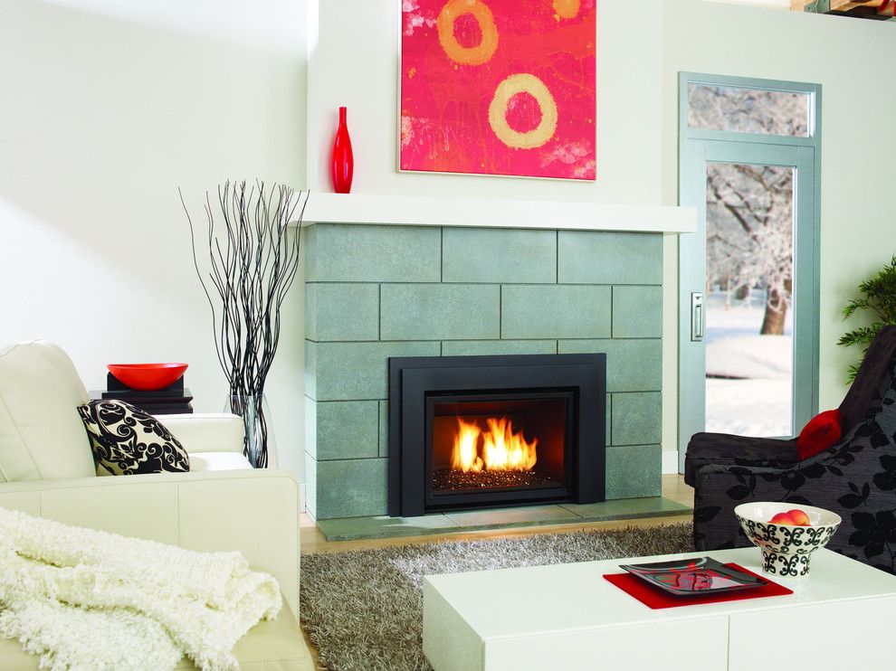 Regency Fireplaces for a Contemporary Living Room with a Insert and Regency Fireplaces by Rustic Fire Place