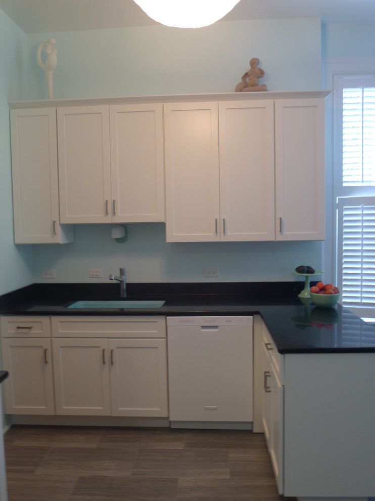 Retro Renovation for a Eclectic Kitchen with a Medallion and Retro Kitchen Renovation in River North by Sarah Babbitt