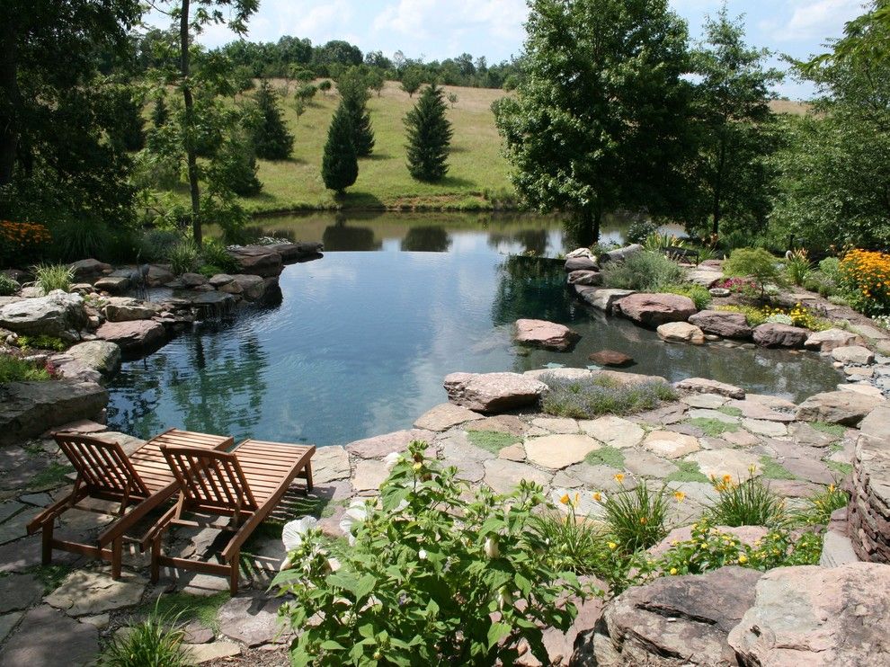 Rising Sun Pools for a Traditional Pool with a Sun Shelf and Water Features by Poole's Stone and Garden, Inc.