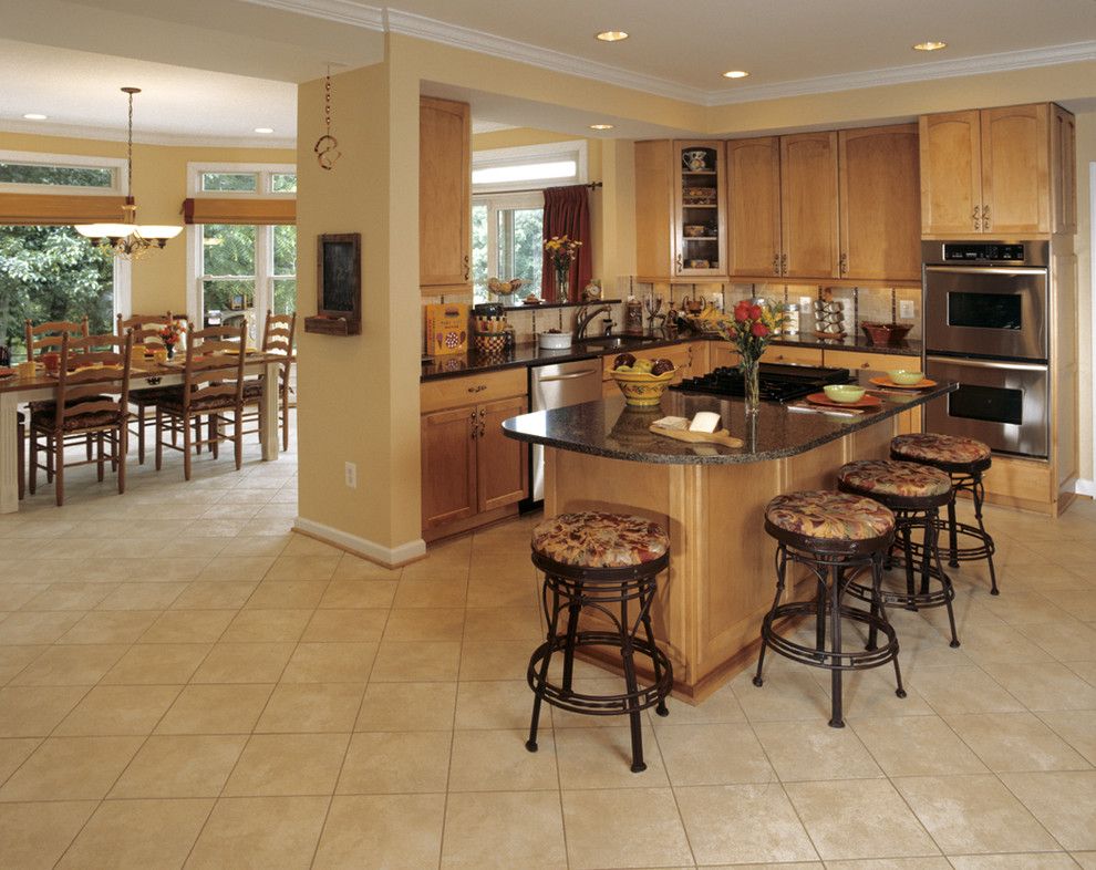 Satco Lighting for a Traditional Kitchen with a Recessed Lighting and Finkelstein   Family Room and Bedroom Addition by K Squared Builders   Dale Kramer