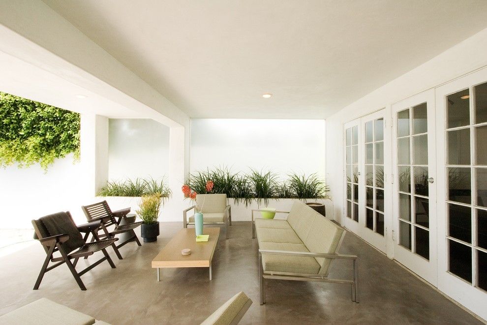 Stained Concrete Patio for a Modern Patio with a Planters and 918 by Emily Jagoda