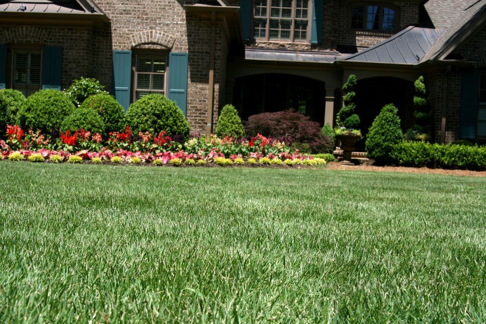 Super Sod for a Contemporary Landscape with a Pine Straw and Leisure Time(r) Zoysia Garden by Super Sod