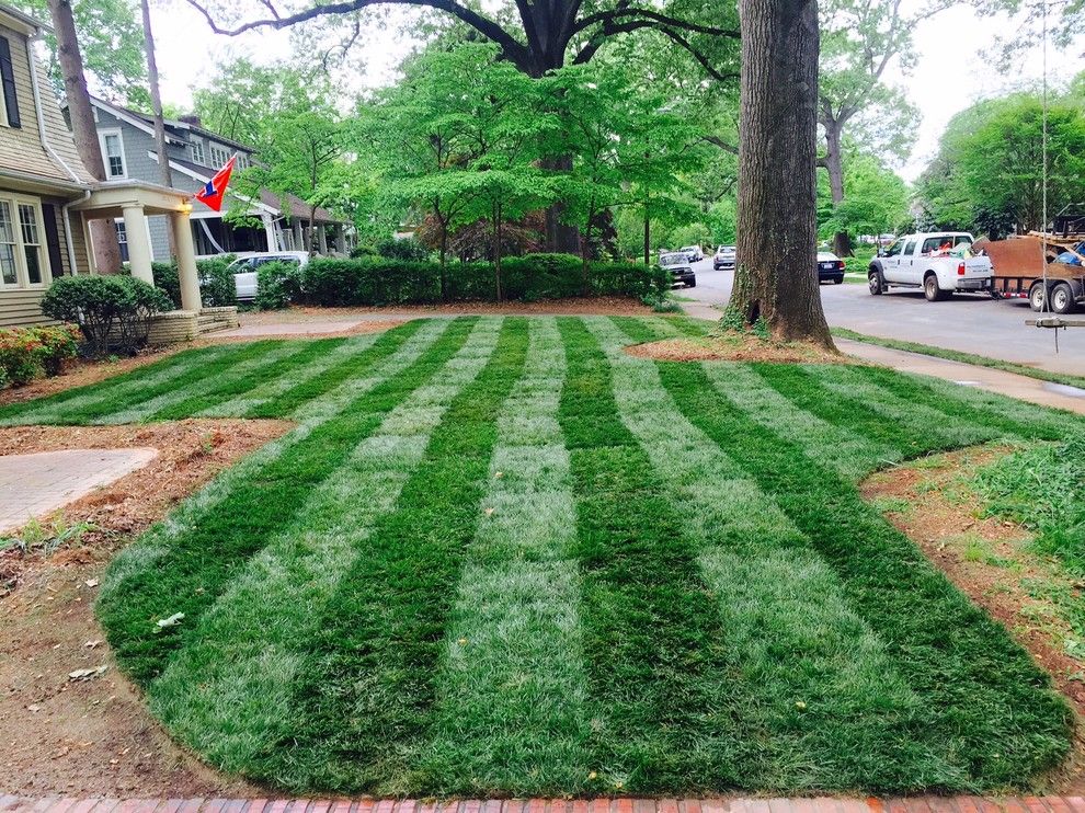 Super Sod for a Traditional Landscape with a Kids Swing and Elite Tall Fescue Lawn by Super Sod