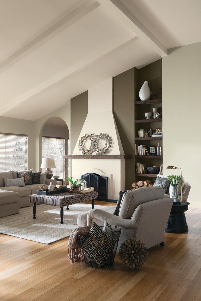 Supersod for a Contemporary Living Room with a Contemporary and Sherwin Williams by Sherwin Williams