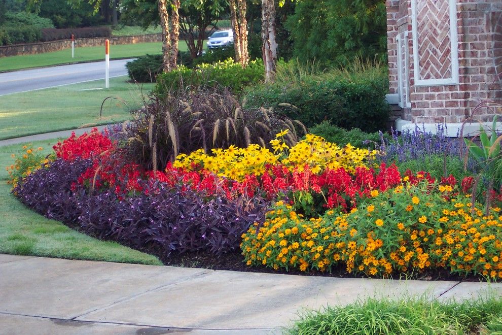 Texas Ranger Plant for a  Landscape with a  and Flower Gardens in the South by Jenny Hardgrave