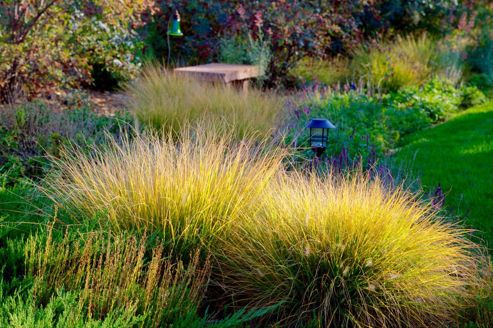 Tlc Landscaping for a Contemporary Landscape with a Outdoor Lighting and Red Renniassance by Tlc Gardens Llc