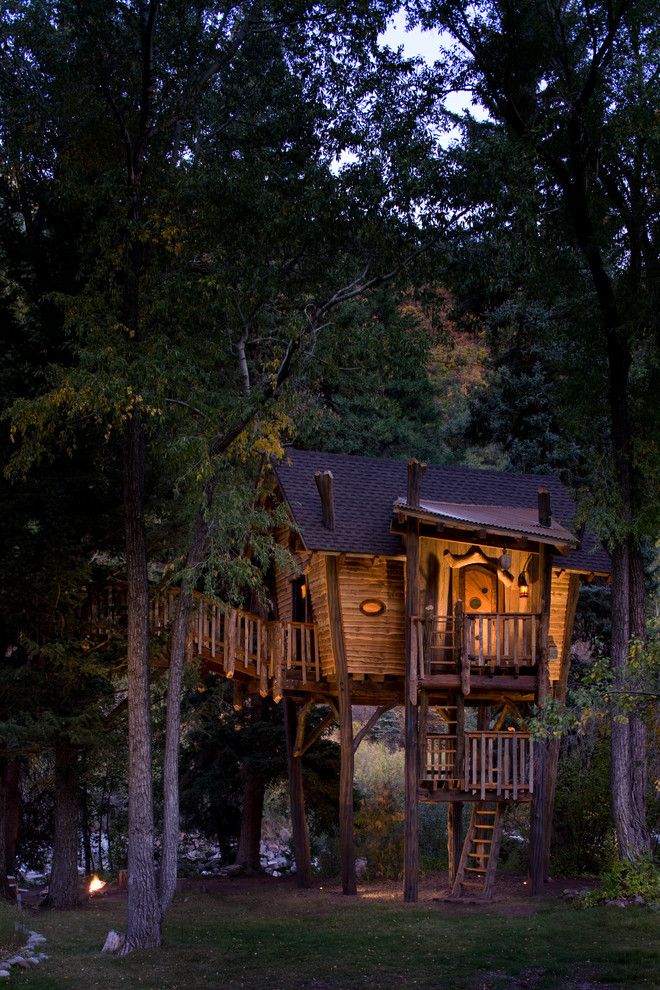 Treehouse Designs for a Rustic Kids with a Tree House and Crystal River Tree House by Green Line Architects