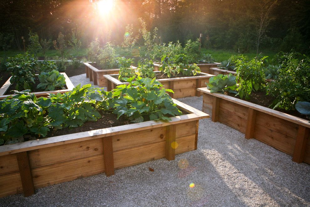 Vegetable Garden Layout for a Rustic Landscape with a Gravel and the Hampton Garden by Rob Kyne