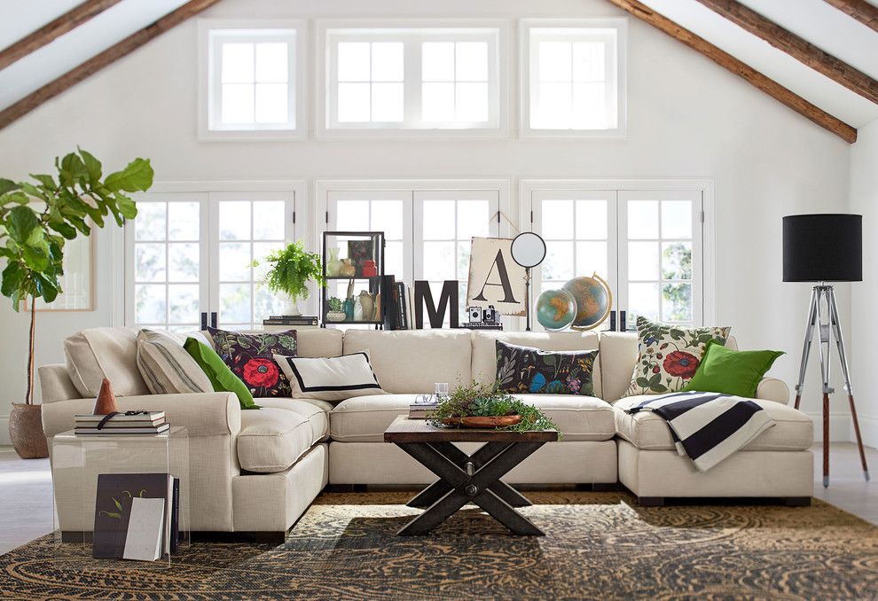 Waterwise Botanicals for a Contemporary Living Room with a Contemporary and Pottery Barn by Pottery Barn