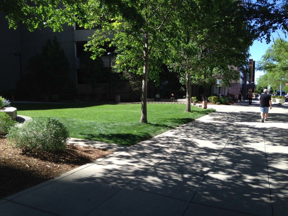 Wells Fargo Reo for a  Spaces with a  and Wells Fargo Center by Environmental Designs, Inc. by Associated Landscape Contractors of Colorado